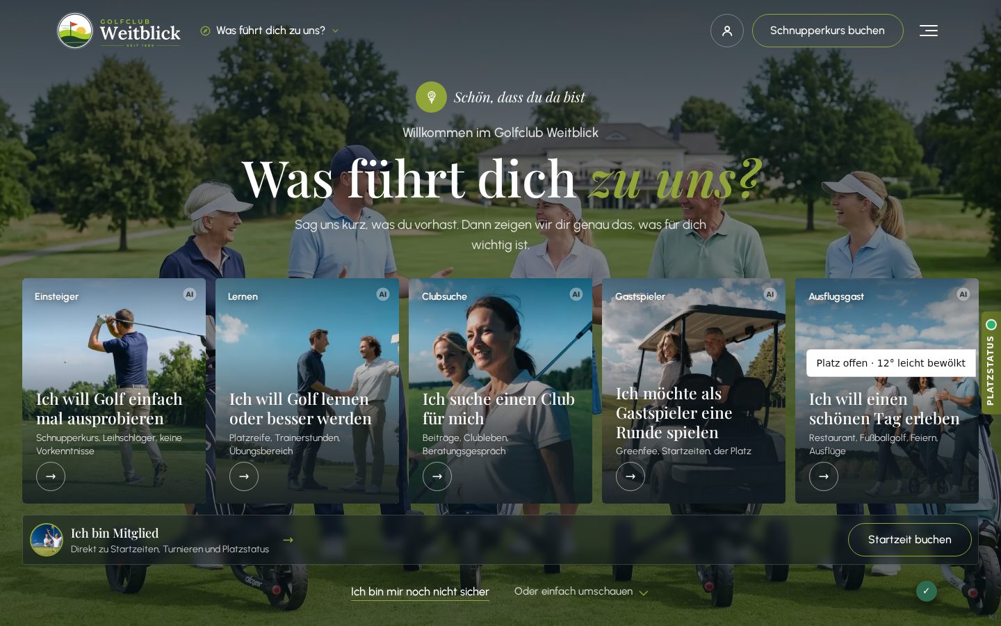 Look Fairway (golf5)